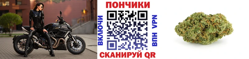 купить наркоту Новочеркасск Шишки марихуана тримм